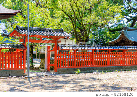 夏の宇美八幡宮 福岡県宇美町 夏の宇美八幡宮 福岡県宇美町 92168120