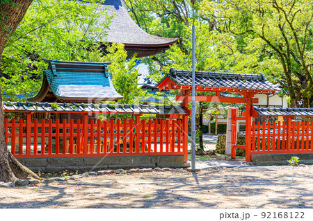 夏の宇美八幡宮 福岡県宇美町 夏の宇美八幡宮 福岡県宇美町 92168122