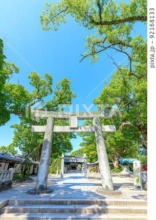 夏の宇美八幡宮 福岡県宇美町 夏の宇美八幡宮 福岡県宇美町 92168133