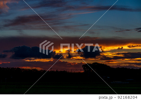 静岡県掛川市細谷　天龍浜名湖鉄道と沿線の風景 92168204