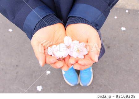 子どもの手　桜　入園式　卒園式 92169208