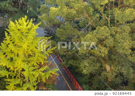 池田市伏尾町の景色 92169445