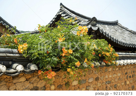 自然 風景 韓国 92170373