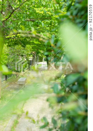 京都 仁王門通りの散歩道 京都 仁王門通りの散歩道 92170559