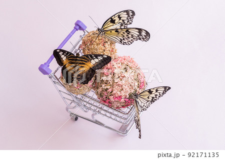 Butterflies in a shopping cart. The concept of buying butterflies. The concept of easy and beautiful purchases. Discounts 92171135