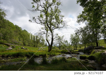 マラム・コーヴ@イングランド 92174107