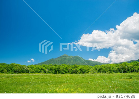 尾瀬ヶ原と燧ヶ岳 92174639