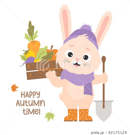 Cute bunny in rubber boots with vegetable harvest box, carrots and gardening tool with shovel. Poster Happy autumn time. Vector illustration for cards, design and decoration of farm harvest themes. 92175129
