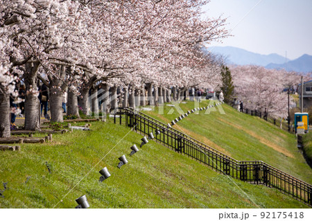 おの桜づつみ回廊 92175418