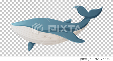 Blue whale, vector illustration, cartoon nautical style. Animal mammal, inhabitant of the oceans. 92175450