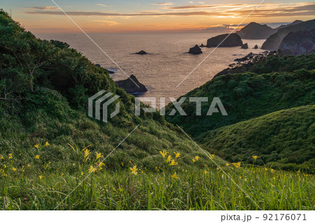 (静岡県)南伊豆町奥石廊崎のユウスゲ 夕陽 (静岡県)南伊豆町奥石廊崎のユウスゲ 夕陽 92176071
