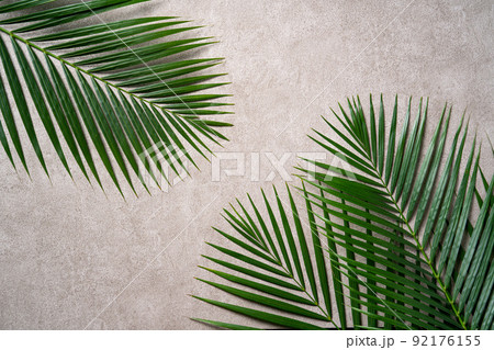 熱帯性 熱帯産 熱帯 92176155