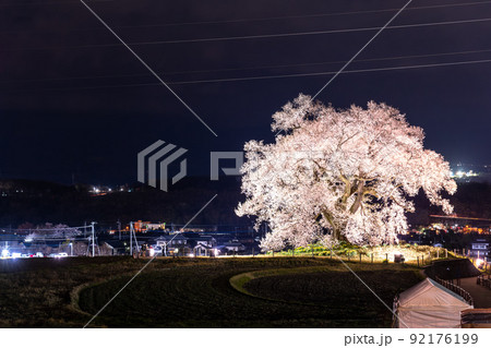 《山梨県》わに塚の桜・夜桜ライトアップ 92176199