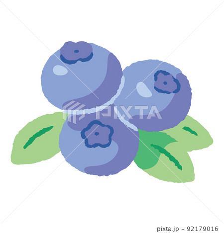食べ物_果物_ブルーベリー_主線無し 92179016