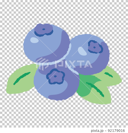 食べ物_果物_ブルーベリー_主線無し 92179016