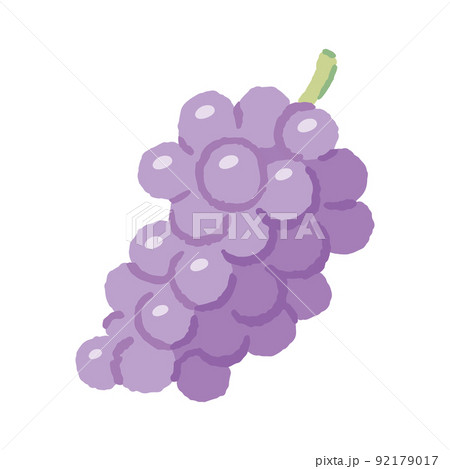 食べ物_果物_ぶどう_主線無し 92179017
