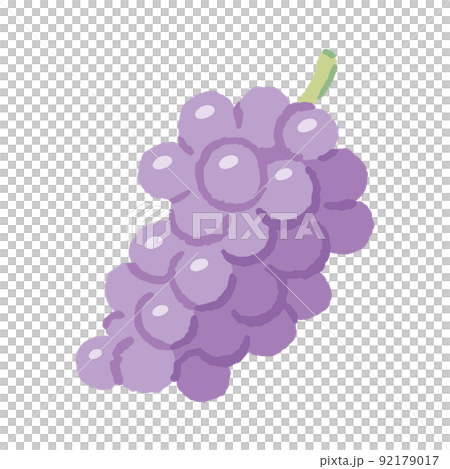 食べ物_果物_ぶどう_主線無し 92179017