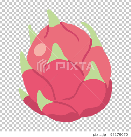 食べ物_果物_ドラゴンフルーツ_主線無し 食べ物_果物_ドラゴンフルーツ_主線無し 92179070