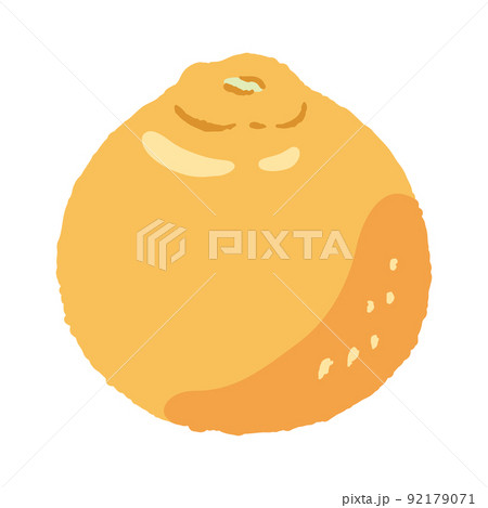 食べ物_果物_デコポン_主線無し 92179071