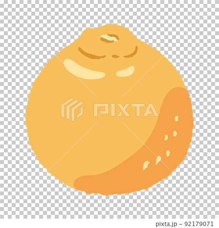 食べ物_果物_デコポン_主線無し 92179071