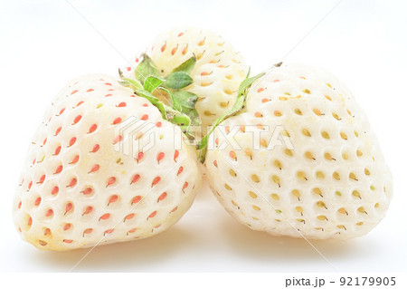 白苺 白苺 92179905