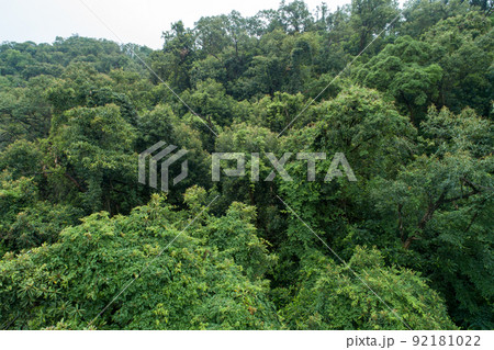 Aerial view of beautiful forest mountain landscape Aerial view of beautiful forest mountain landscape 92181022