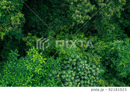Aerial view of beautiful forest mountain landscape Aerial view of beautiful forest mountain landscape 92181023