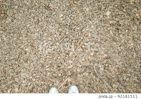 ウッドチップ ウッドチップ 92181511