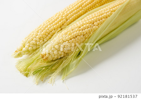 夏の高原野菜　モロコシ　白背景 92181537
