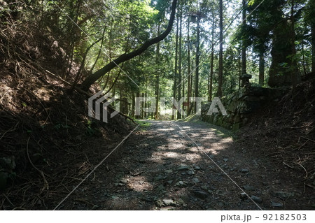 比叡山延暦寺の山道を歩く 92182503