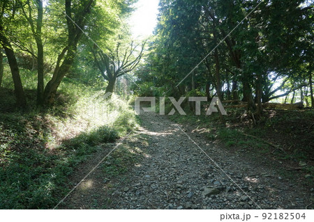 比叡山延暦寺の山道散策 92182504