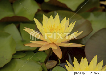 自然 風景 韓国 92182766