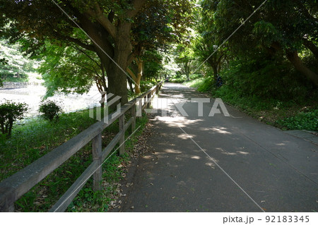 神奈川県立三ツ池公園 横浜市鶴見区 総合公園 園内には3つの池 テレビラジオ電波塔 令和4年5月 神奈川県立三ツ池公園 横浜市鶴見区 総合公園 園内には3つの池 テレビラジオ電波塔 令和4年5月 92183345