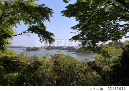 松島の海と緑 松島の海と緑 92185031