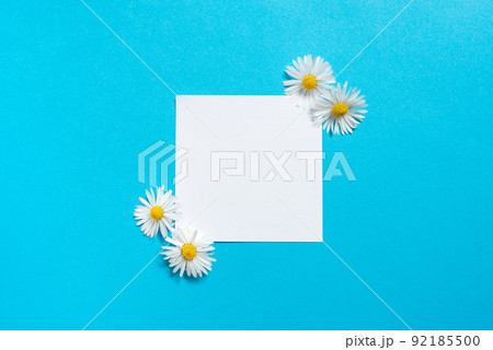 Sticky Note With Important Messages With Flowers On Both Sides. Memo With Crutial Informations With Daisies Around. Piece Of Paper With Current Announcements. Sticky Note With Important Messages With Flowers On Both Sides. Memo With Crutial Informations With Daisies Around. Piece Of Paper With Current Announcements. 92185500