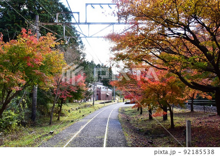 群馬県安中市　アプトの道ハイキングコースの紅葉と旧丸山変電所 92185538