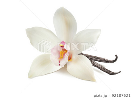 Vanilla flower and bean for flavored drinks isolated on white background. Vanilla flower and bean for flavored drinks isolated on white background. 92187621
