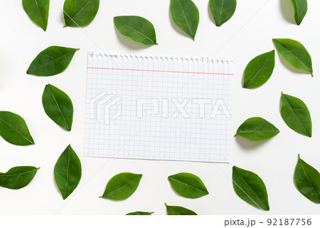 Notebook Sheet With Checked Patterned Lines Placed Between Fresh Leaves For Layout Of Invitation And Cards. Empty Page Surrounded With Foliage Leafage For Creative Banner. Notebook Sheet With Checked Patterned Lines Placed Between Fresh Leaves For Layout Of Invitation And Cards. Empty Page Surrounded With Foliage Leafage For Creative Banner. 92187756