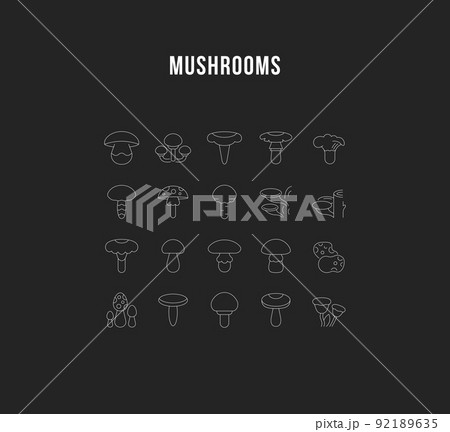 Set Vector Line Icons of Mushrooms. 92189635