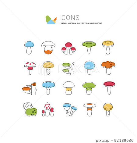 Set Vector Line Icons of Mushrooms. Set Vector Line Icons of Mushrooms. 92189636