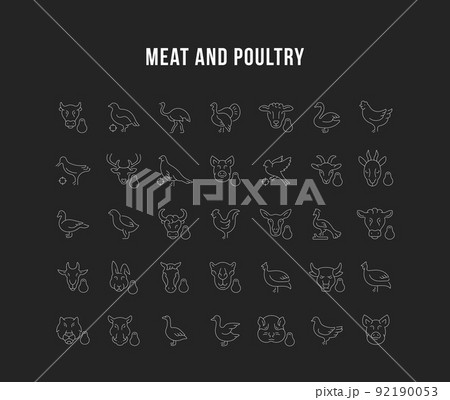 Set Vector Line Icons of Meat and Poultry. 92190053