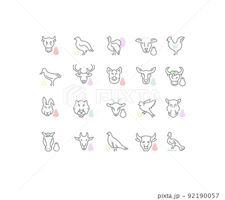 Set Vector Line Icons of Meat and Poultry. 92190057