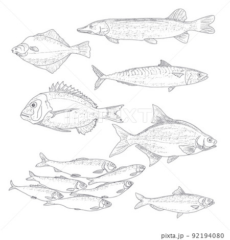 A collection of fish in vintage style A collection of fish in vintage style 92194080