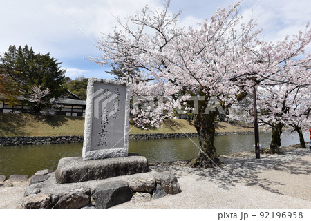 春の彦根城 堀の桜と石碑 滋賀県彦根市 春の彦根城 堀の桜と石碑 滋賀県彦根市 92196958