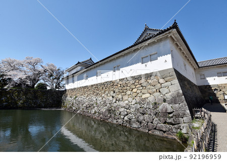 春の彦根城 二の丸佐和口多聞櫓 滋賀県彦根市 春の彦根城 二の丸佐和口多聞櫓 滋賀県彦根市 92196959