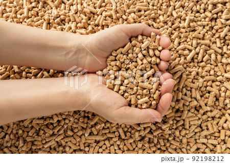 Woman hands hold wooden pellets. Handful of wood pellet fuel in a person hands.  92198212