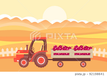 An agricultural tractor with a trailer and boxes of fruit against the backdrop of fields and sunset. The concept of agricultural transport. Illustration, vector 92198641