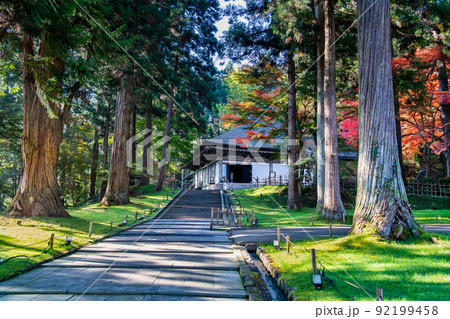 岩手県平泉町 中尊寺金色堂　～秋～ 92199458