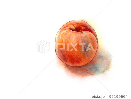 あかつき・桃の水彩風イラスト 92199664