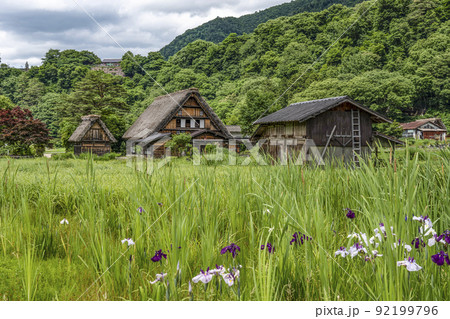 夏の白川郷 92199796